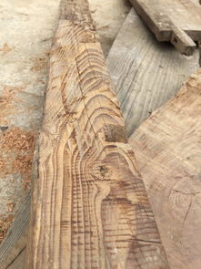 探索常見(jiàn)木材的種類與特性